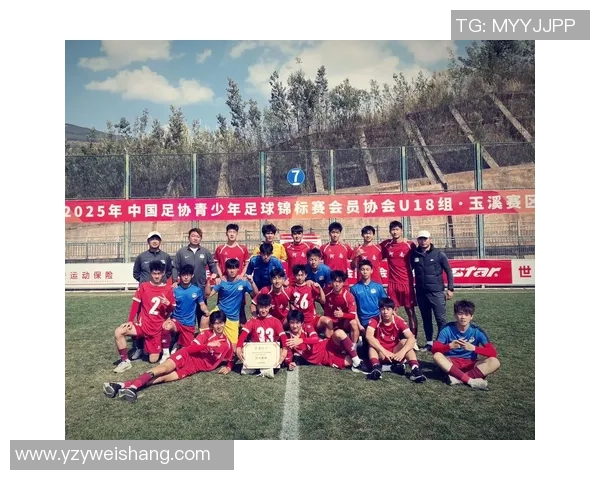 中国足球队现役与历史球星大盘点 从李铁到武磊的传奇之路