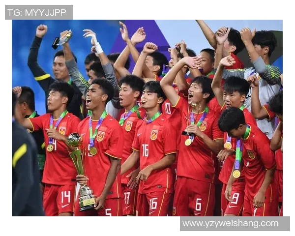 各国球星眼中的中国足球发展与挑战分析 各国球星眼中的中国足球发展与挑战分析