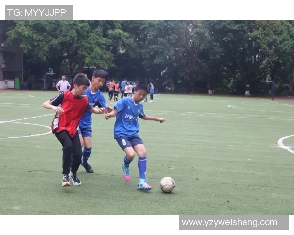 玩具足球球星的成长之路：从小场地到大舞台的奋斗与荣耀