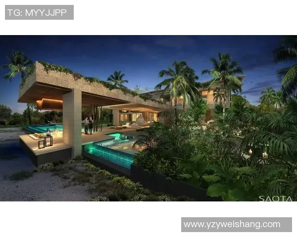 豪华别墅揭秘：足球球星如何打造奢华居住空间享受私密生活